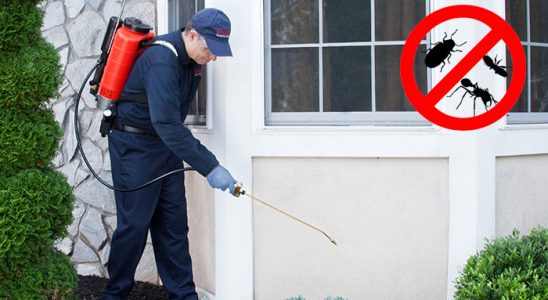Hayrat Gümüşkurt İlaçlama böcek ilaçlama ve haşere kontrolü — ilaclama-tr.com